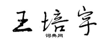 曾慶福王培宇行書個性簽名怎么寫