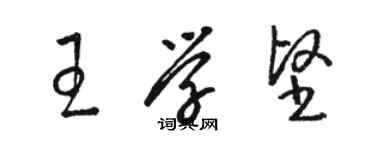 駱恆光王學堅草書個性簽名怎么寫