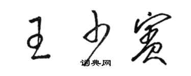 駱恆光王少賓草書個性簽名怎么寫