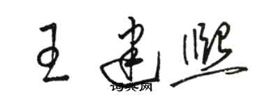 駱恆光王建熙草書個性簽名怎么寫