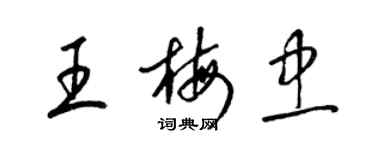 梁錦英王梅忠草書個性簽名怎么寫