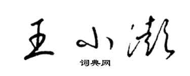 梁錦英王小澎草書個性簽名怎么寫