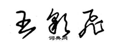 朱錫榮王彩飛草書個性簽名怎么寫