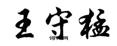 胡問遂王守猛行書個性簽名怎么寫