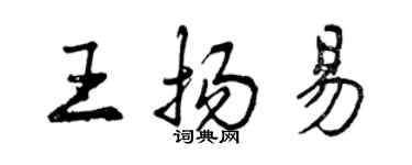 曾慶福王揚易行書個性簽名怎么寫