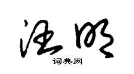 朱錫榮汪明草書個性簽名怎么寫