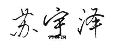 駱恆光蘇宇澤行書個性簽名怎么寫