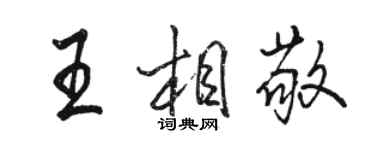 駱恆光王相敬行書個性簽名怎么寫