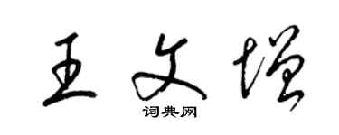 梁錦英王文增草書個性簽名怎么寫