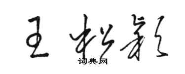 駱恆光王松穎草書個性簽名怎么寫