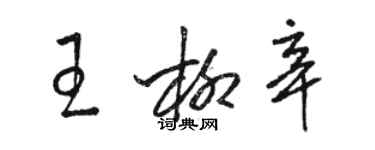 駱恆光王柳辛草書個性簽名怎么寫