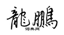 王正良龍鵬行書個性簽名怎么寫