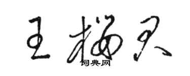 駱恆光王櫻君草書個性簽名怎么寫