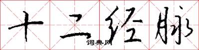 十二經脈怎么寫好看