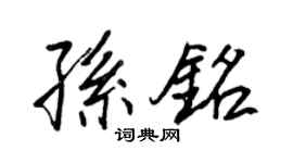 王正良孫銘行書個性簽名怎么寫