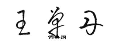 駱恆光王單丹草書個性簽名怎么寫