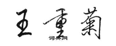 駱恆光王重菊行書個性簽名怎么寫