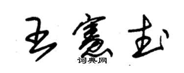朱錫榮王憲武草書個性簽名怎么寫