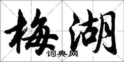 胡問遂梅湖行書怎么寫