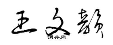 曾慶福王文韻草書個性簽名怎么寫