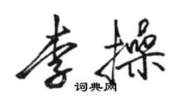 駱恆光李操行書個性簽名怎么寫