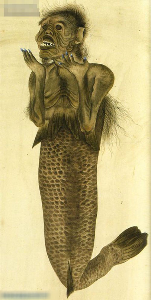 傳說中的日本美人魚 怪異令人噁心