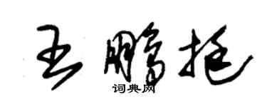 朱錫榮王鵬挺草書個性簽名怎么寫