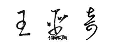 駱恆光王聖奇草書個性簽名怎么寫