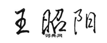 駱恆光王昭陽行書個性簽名怎么寫