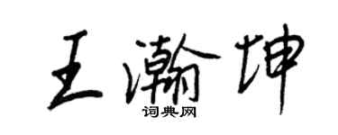 王正良王瀚坤行書個性簽名怎么寫