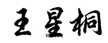 胡問遂王星桐行書個性簽名怎么寫