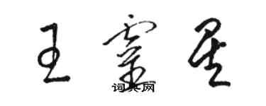 駱恆光王靈星草書個性簽名怎么寫