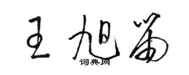 駱恆光王旭笛草書個性簽名怎么寫
