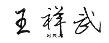 駱恆光王祥武行書個性簽名怎么寫