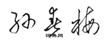 駱恆光孫春梅草書個性簽名怎么寫