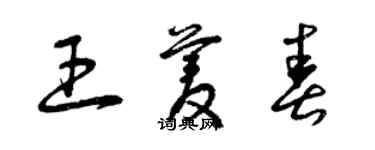 曾慶福王菱春草書個性簽名怎么寫