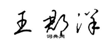 梁錦英王郡洋草書個性簽名怎么寫