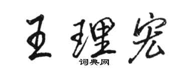 駱恆光王理宏行書個性簽名怎么寫