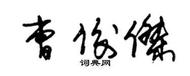 朱錫榮曹俊傑草書個性簽名怎么寫