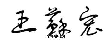 曾慶福王蘇宏草書個性簽名怎么寫