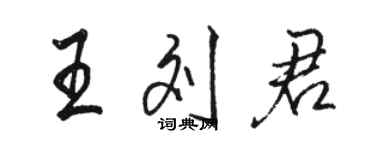 駱恆光王劉君行書個性簽名怎么寫