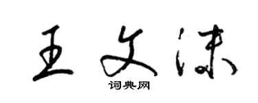 梁錦英王文沫草書個性簽名怎么寫