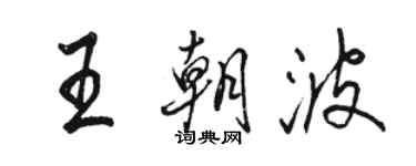 駱恆光王朝波行書個性簽名怎么寫