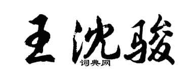 胡問遂王沈駿行書個性簽名怎么寫