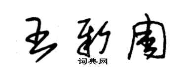 朱錫榮王新周草書個性簽名怎么寫