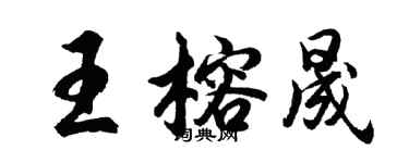 胡問遂王榕晟行書個性簽名怎么寫