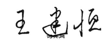 駱恆光王建恆草書個性簽名怎么寫