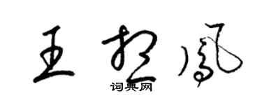 梁錦英王想鳳草書個性簽名怎么寫