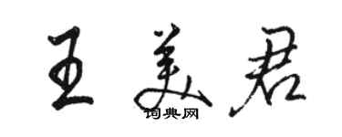 駱恆光王美君行書個性簽名怎么寫