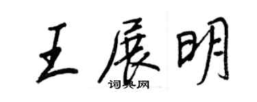 王正良王展明行書個性簽名怎么寫